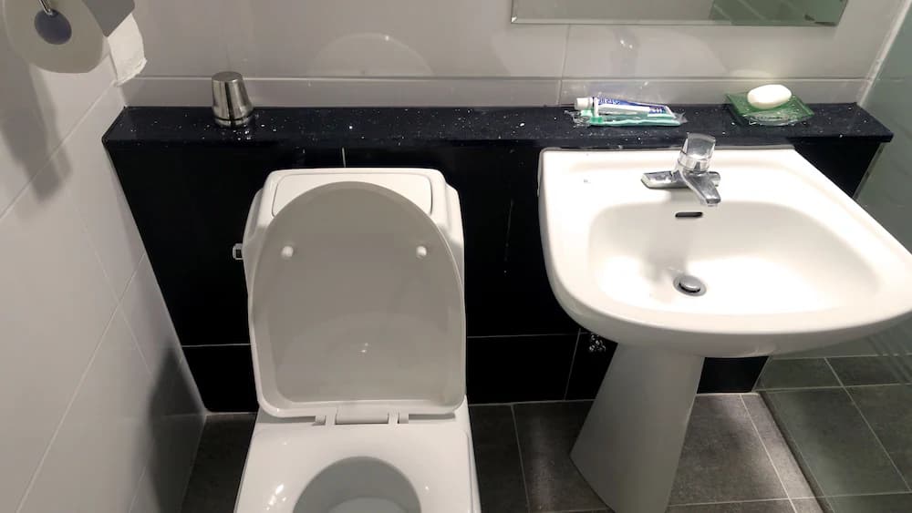 Bathroom sink