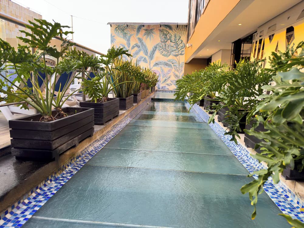 Rooftop terrace