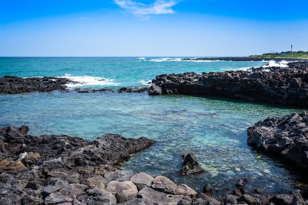 Natural pool