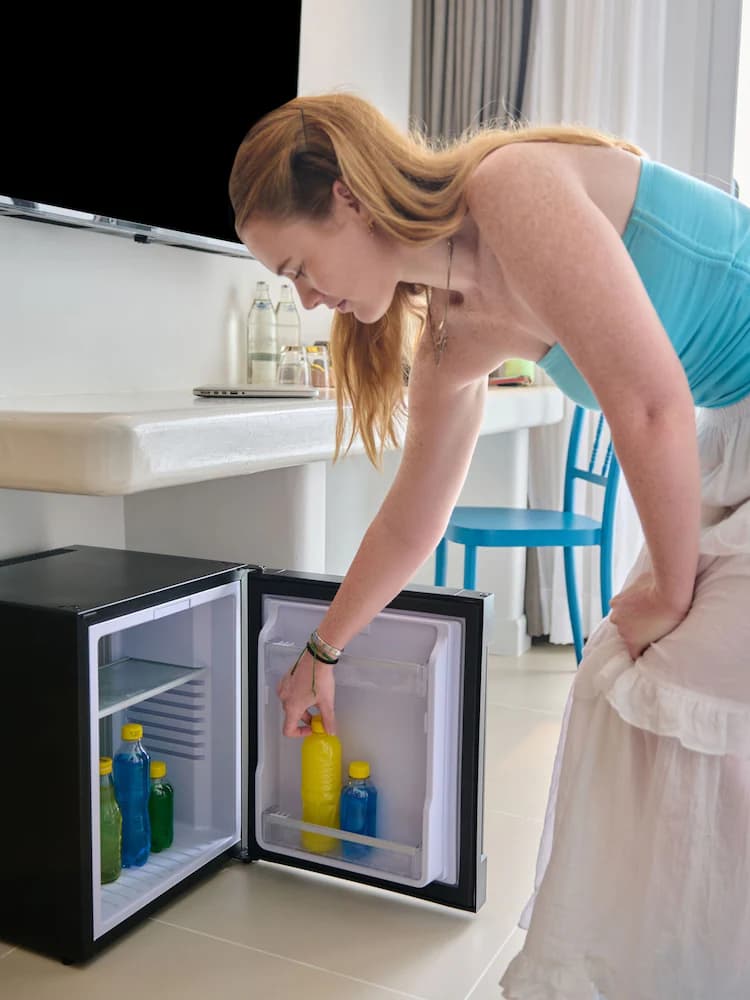 Mini-refrigerator