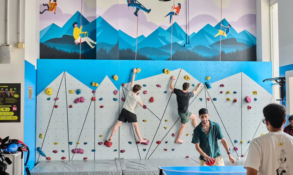 Rock climbing wall - indoor