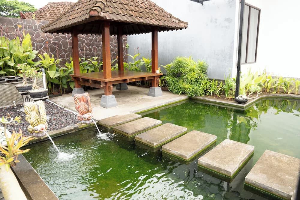 Garden view