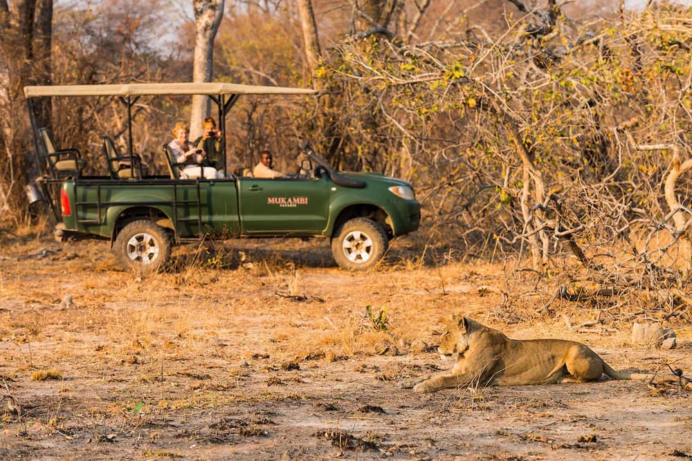 Game drive