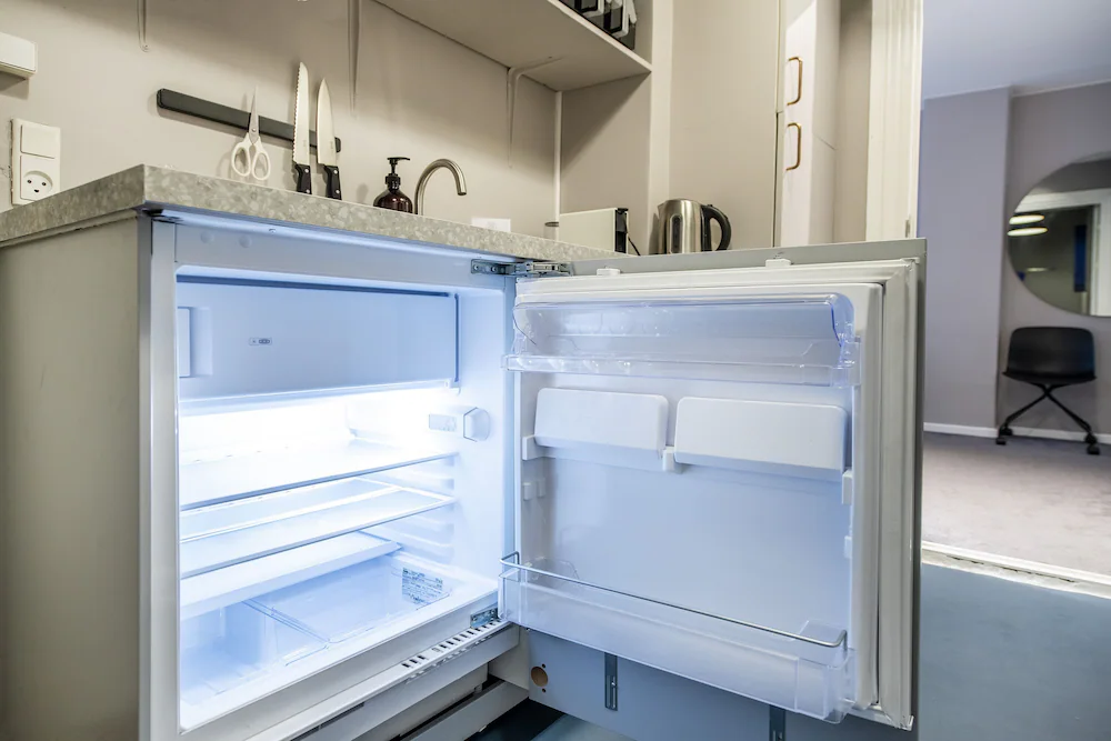 Mini-refrigerator