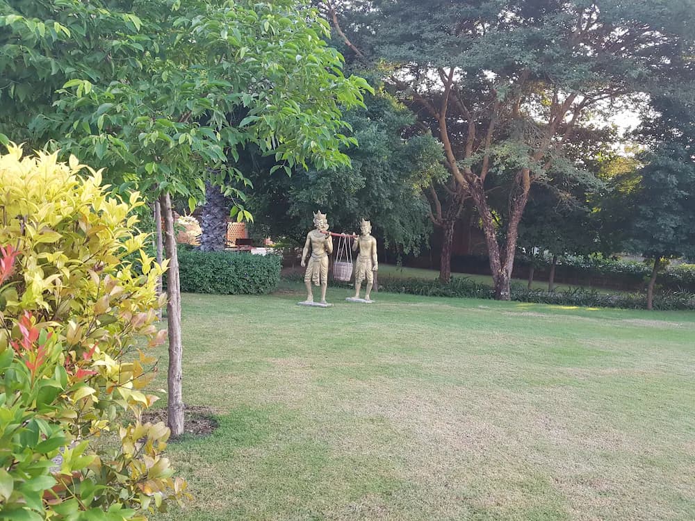 Garden