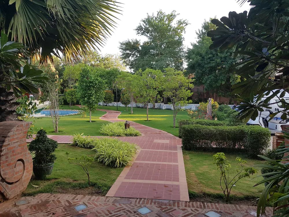 Garden view