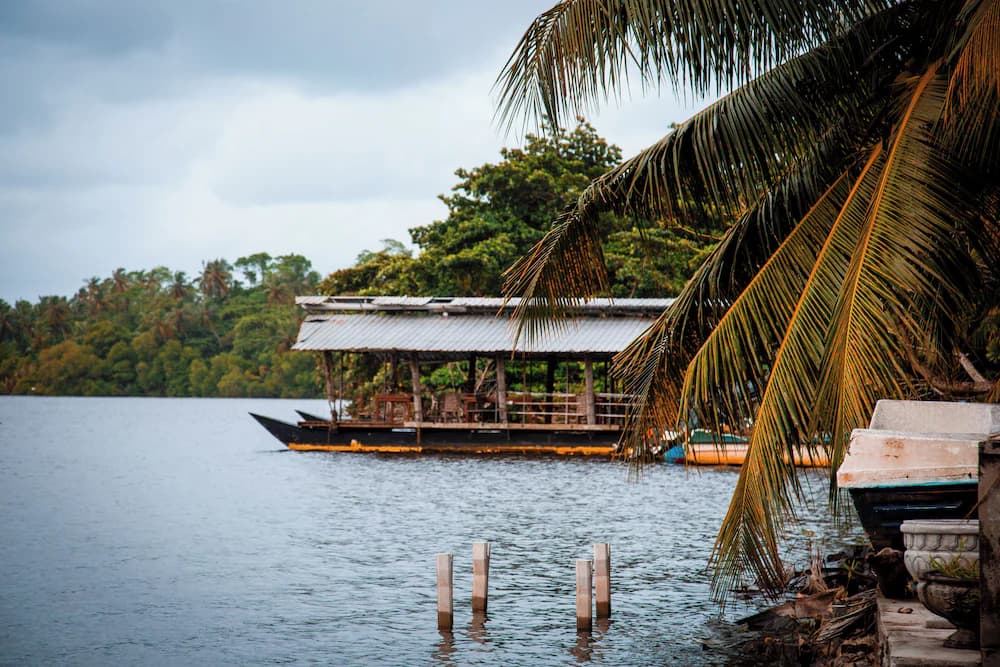 Lake view