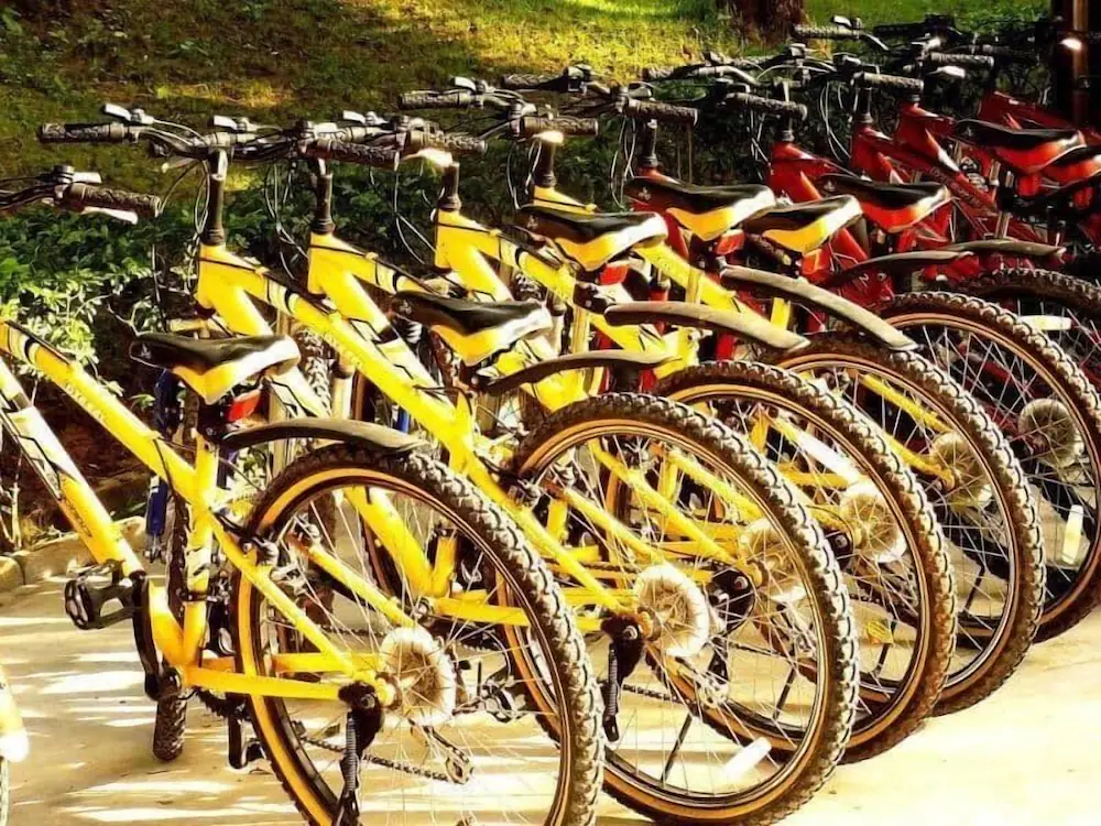 Bicycling
