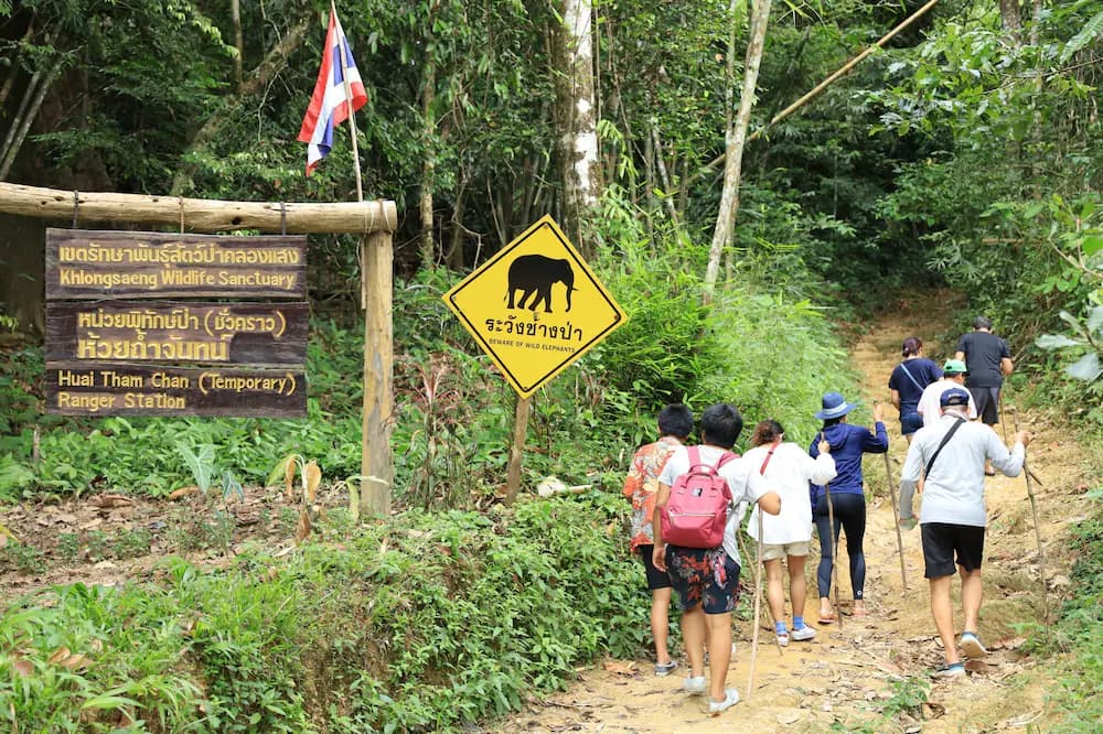 Ecotours