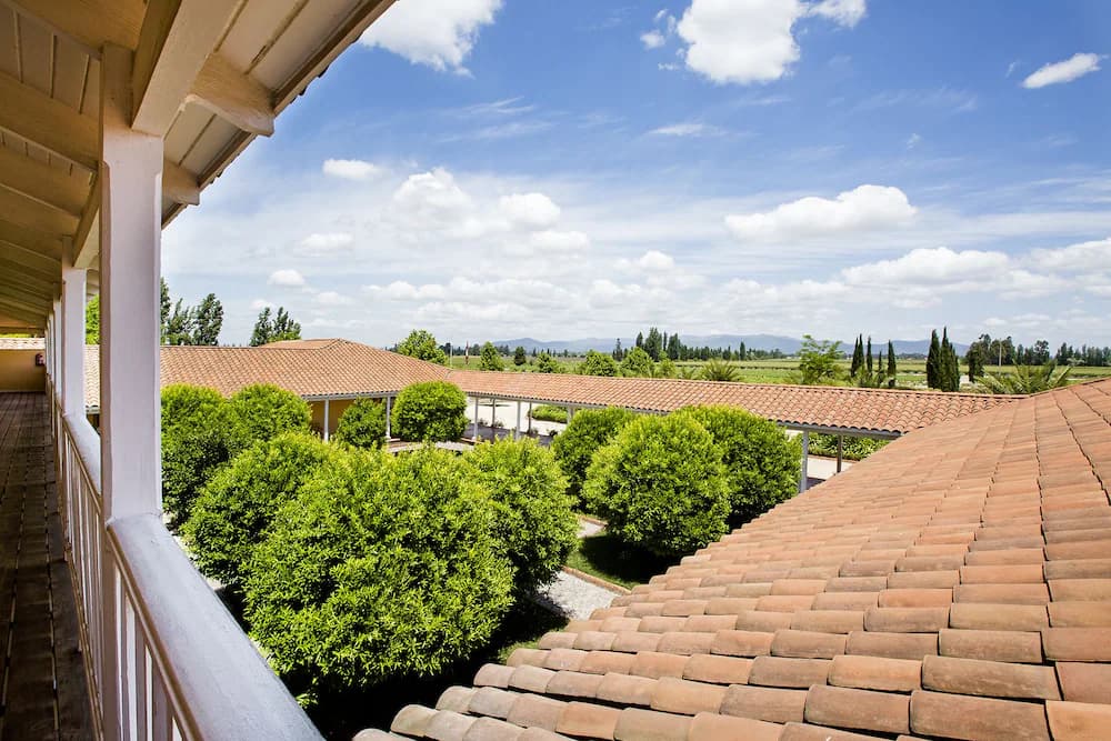 Garden view