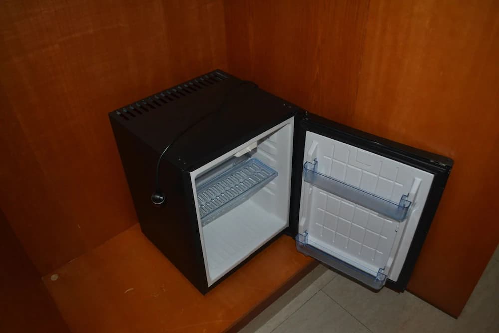 Mini-refrigerator