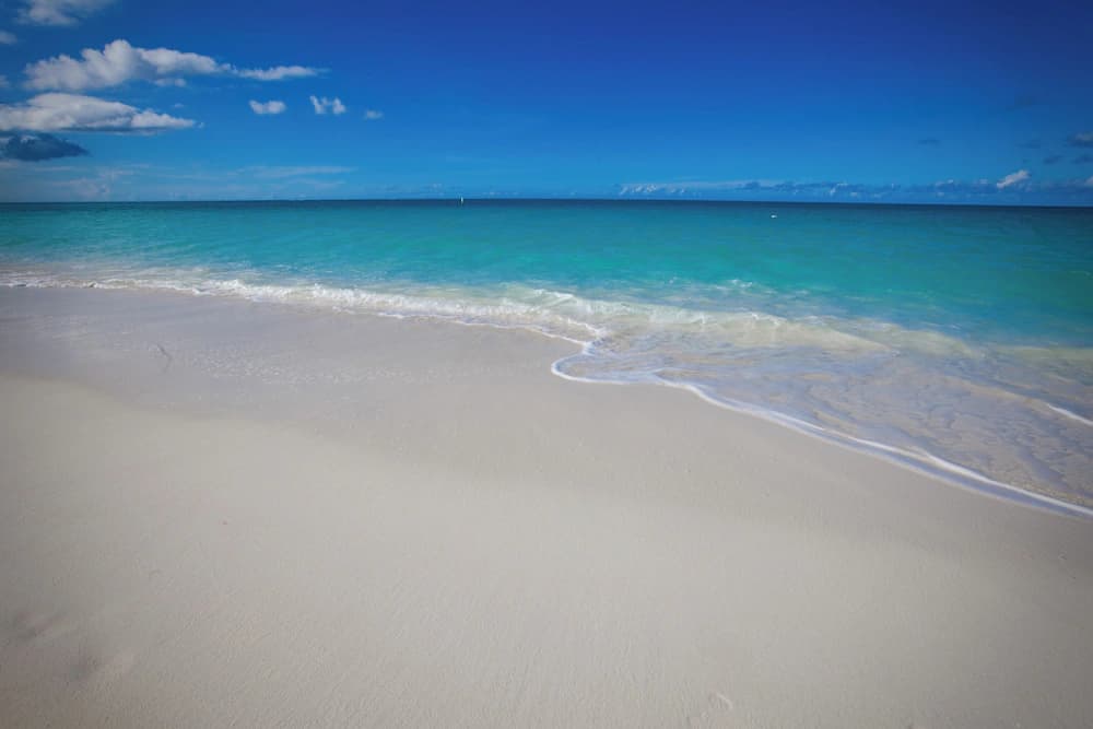 Beach/ocean view