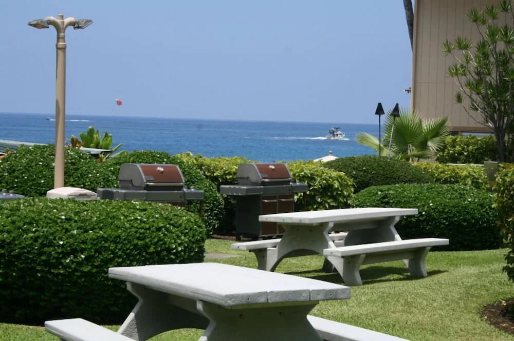 BBQ/picnic area