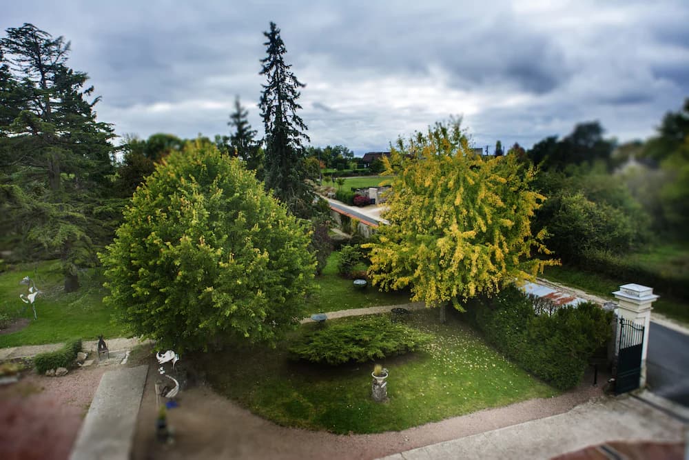 Garden view