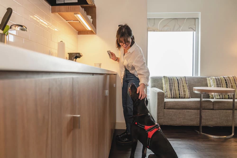 Pet-friendly