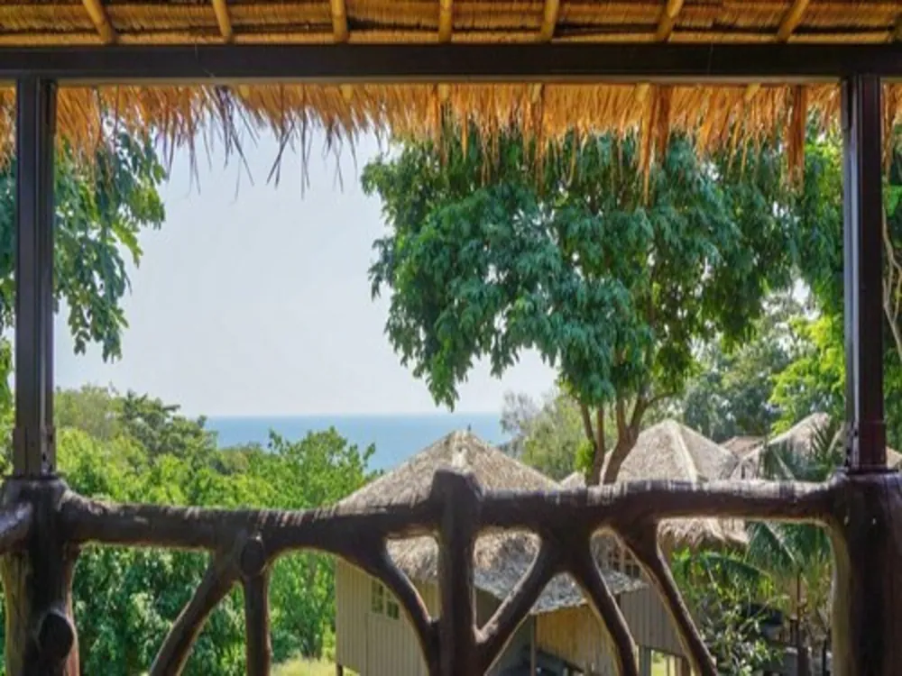 View from room