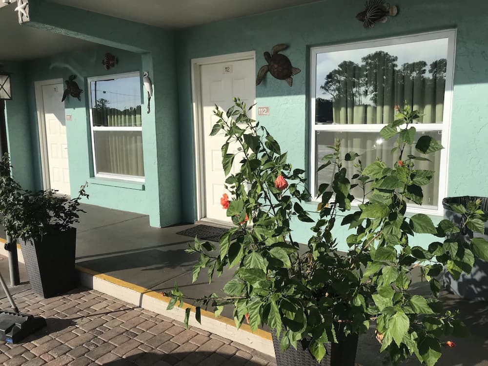 Garden view