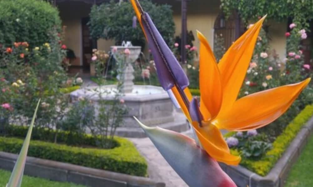Fountain