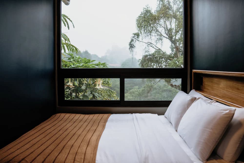 View from room