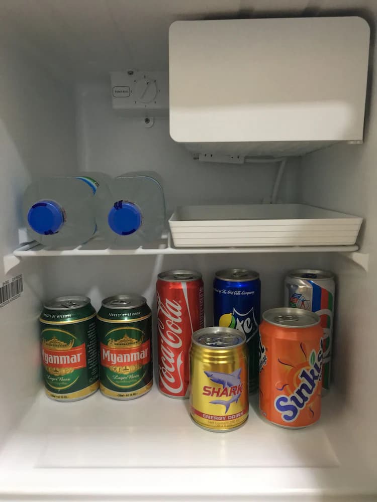 Mini-refrigerator
