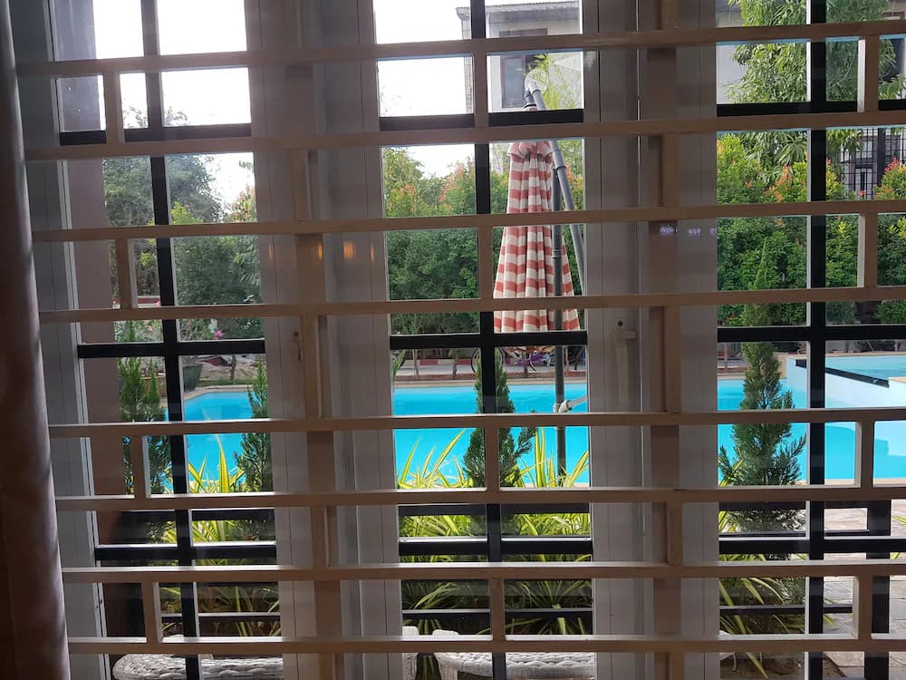 View from room