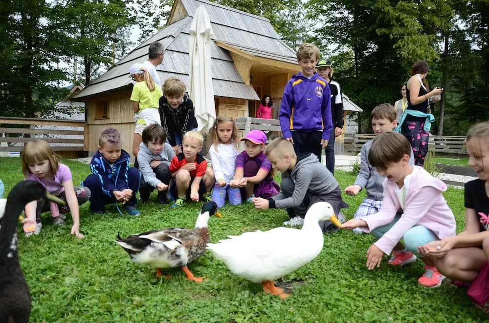 Children's play area - outdoor