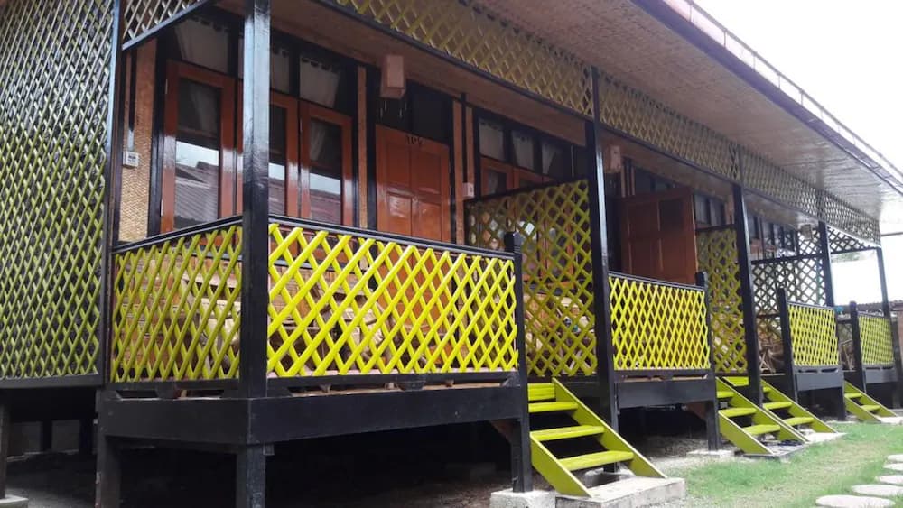 Primary image