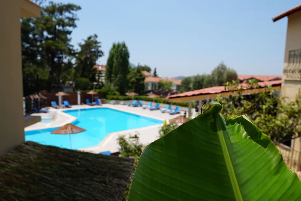 View from room