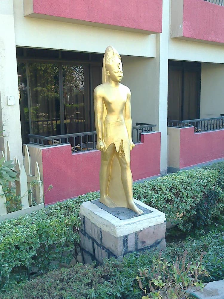 Primary image