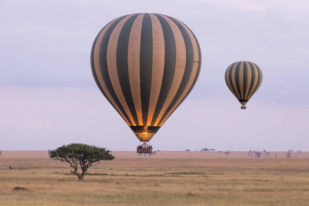 Safari