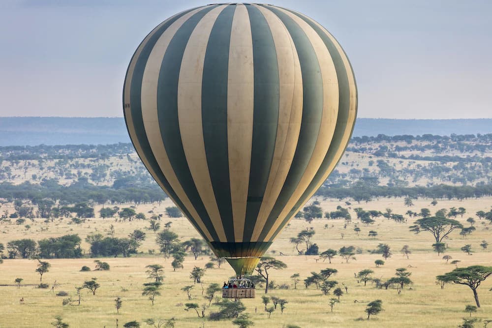 Game viewing