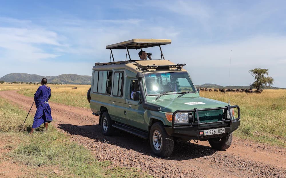 Safari