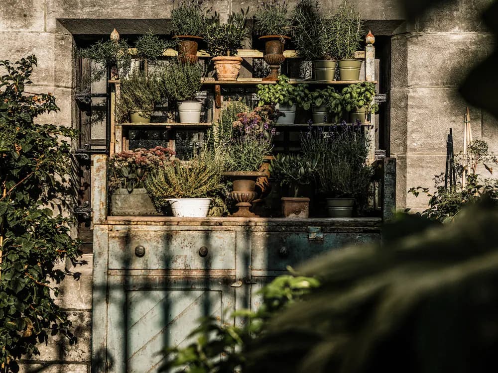 Courtyard