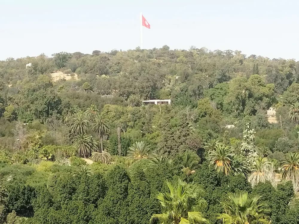 View from room