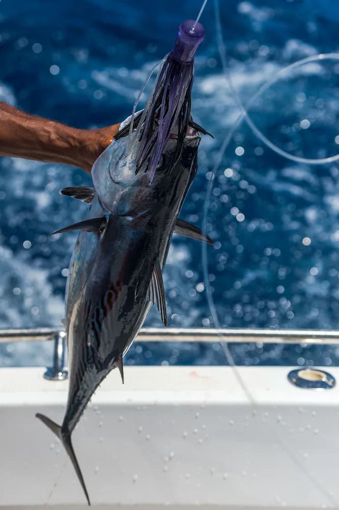 Fishing