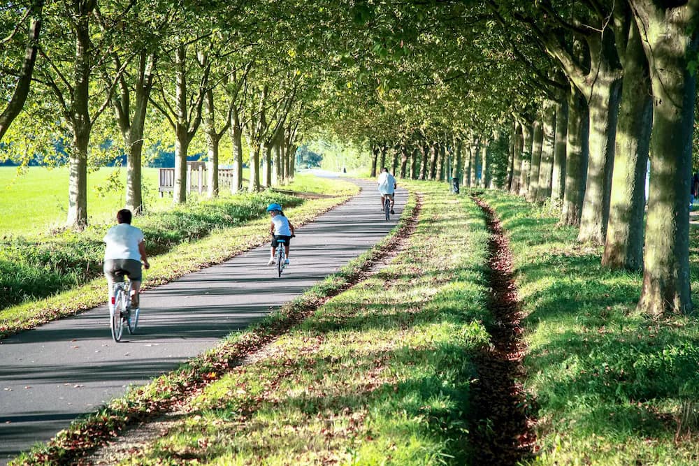 Bicycling