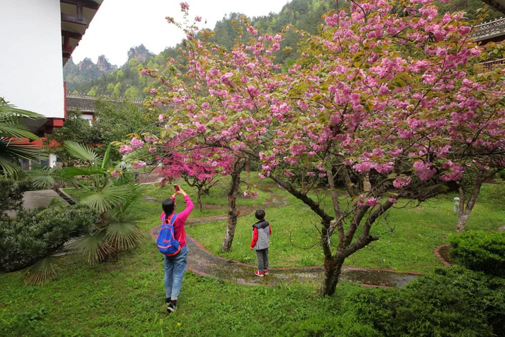 Children's activities