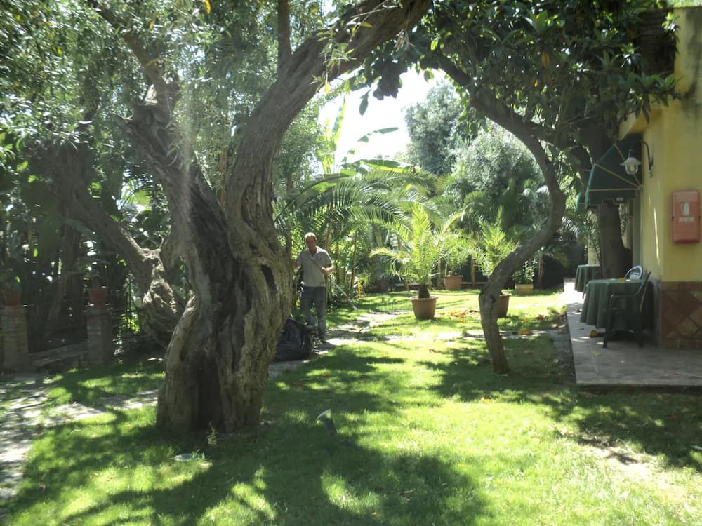 Property grounds