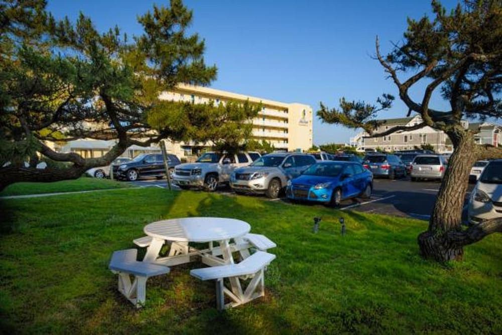 BBQ/picnic area