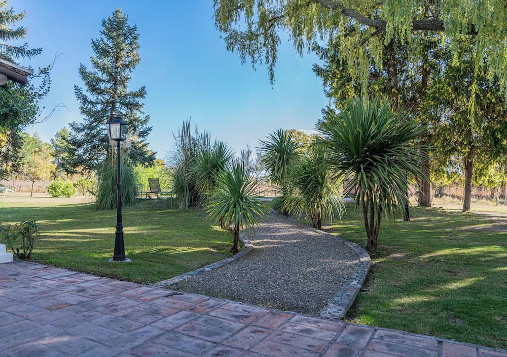 Garden view