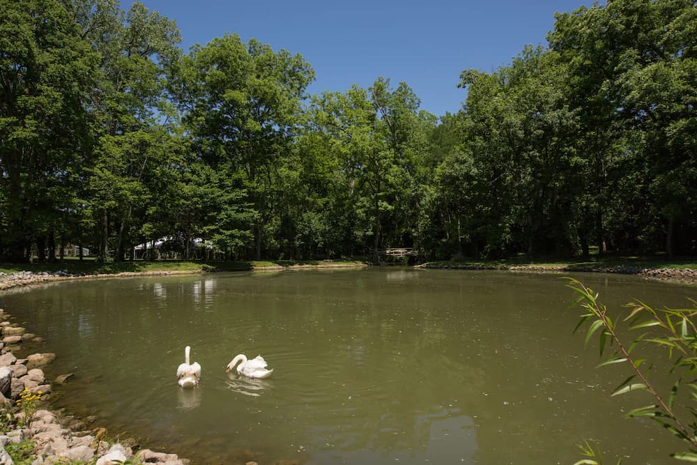 Lake