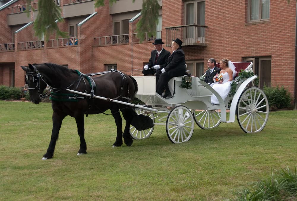 Outdoor wedding area