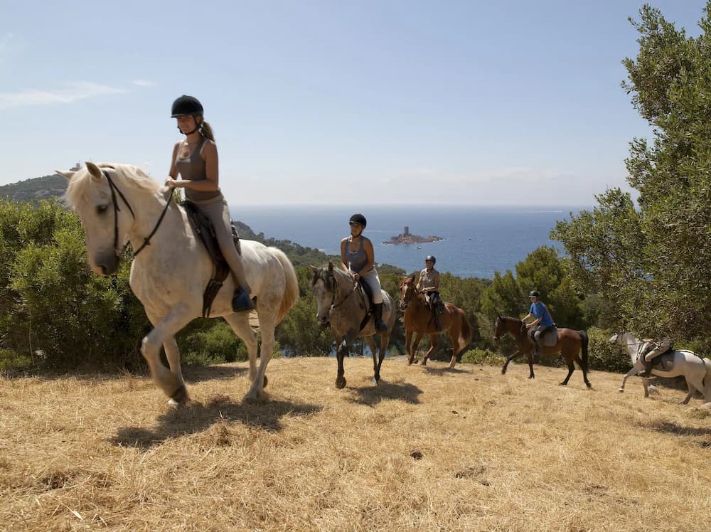 Horseback riding