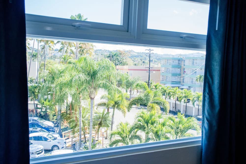 View from room