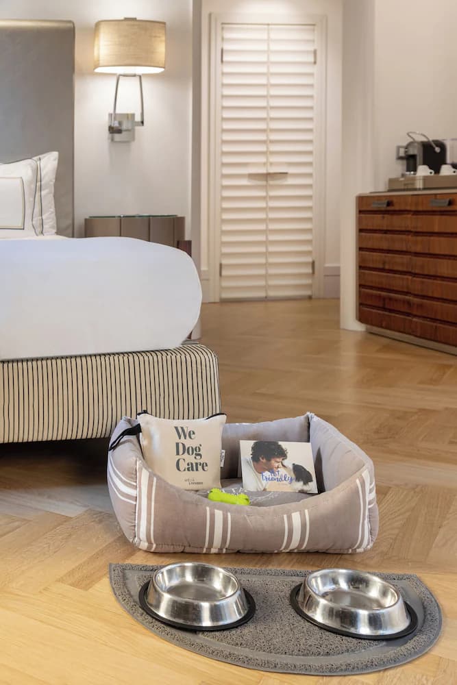 Pet-friendly amenities