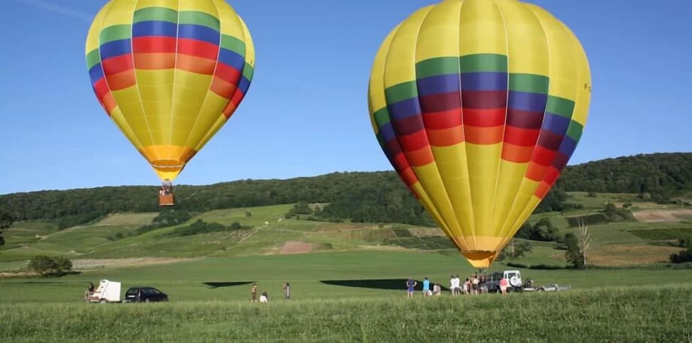 Helicopter/plane tours