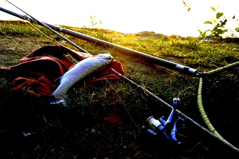 Fishing