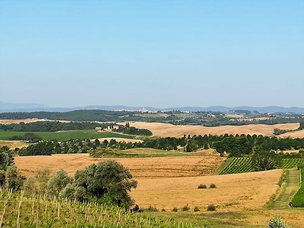 Land view from property