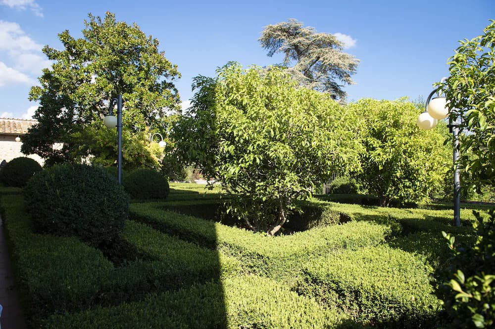 Garden