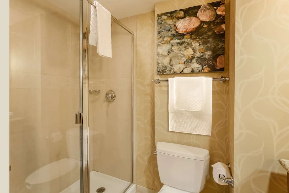 Bathroom shower